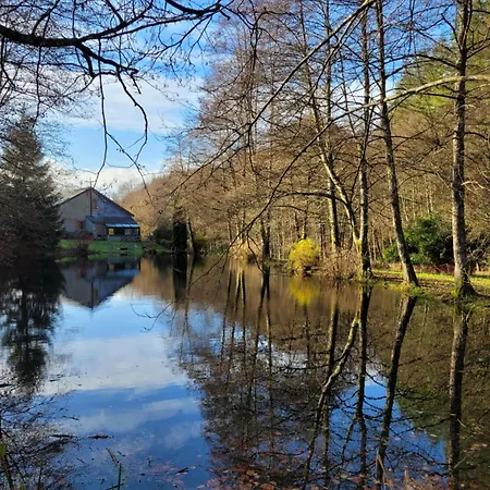 De Liresse Homestay *