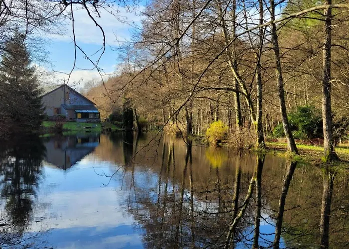 De Liresse Ubytování v soukromí *